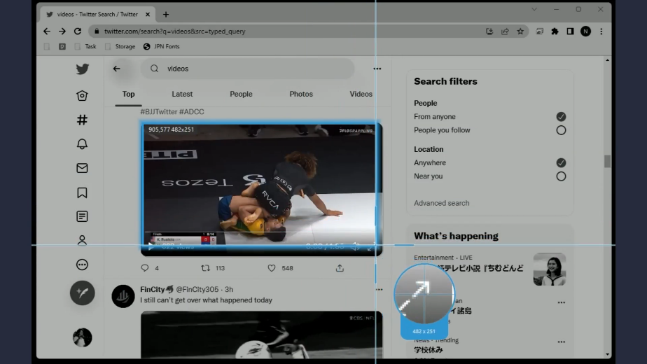 twitter video downloader, select a recording area