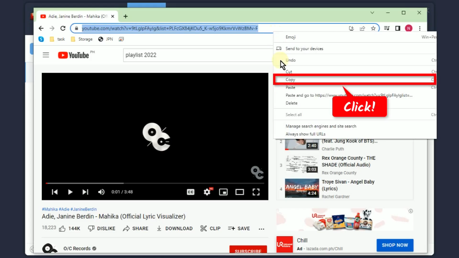 download youtube playlist in mp3, copy url