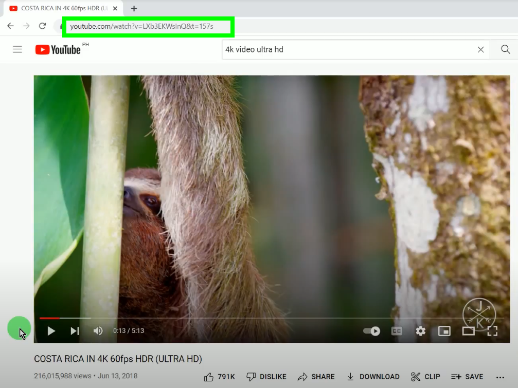 4k video downloader, copy url