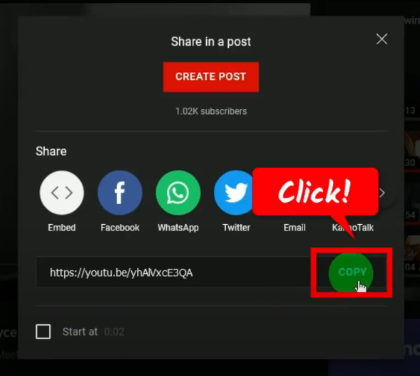 convert youtube to mp4, copy the url