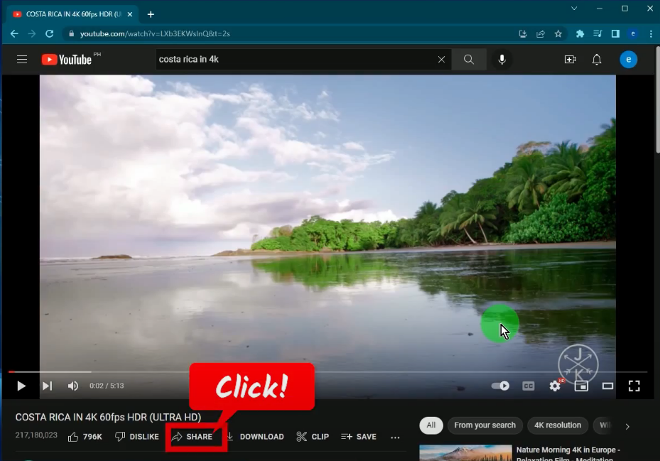 hd video downloader, click share