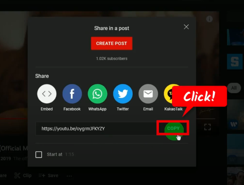 watch youtube videos offline, copy the url