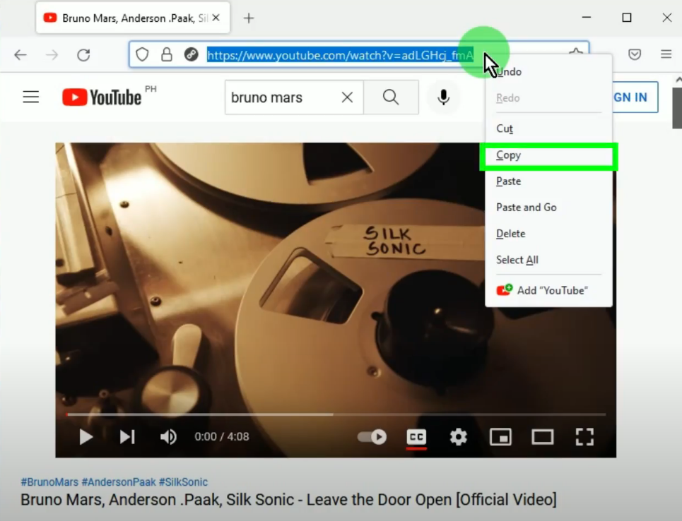 extract audio from video, copy the video url