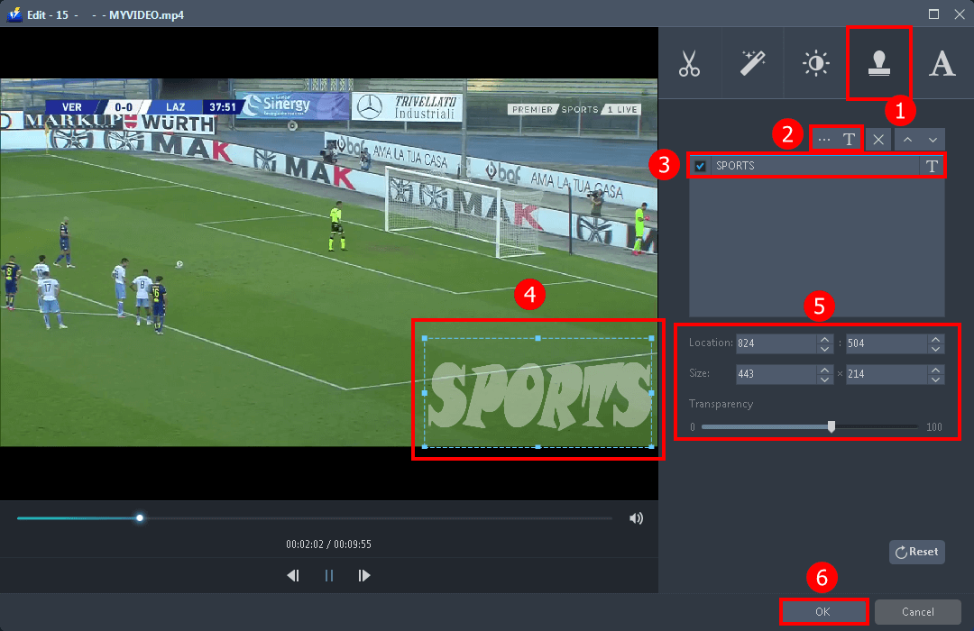 Convert video, put a picture on video online, add watermark 