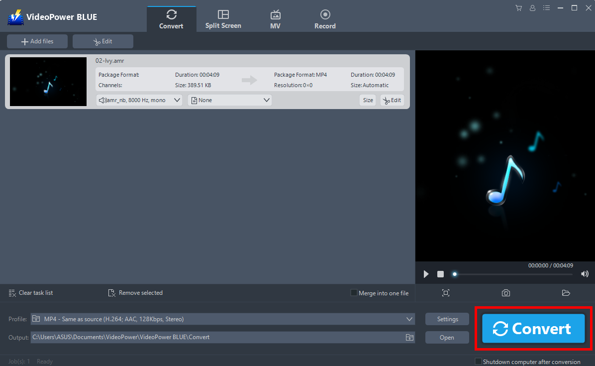 Best Video Converter Software, VideoPower BLUE, output format