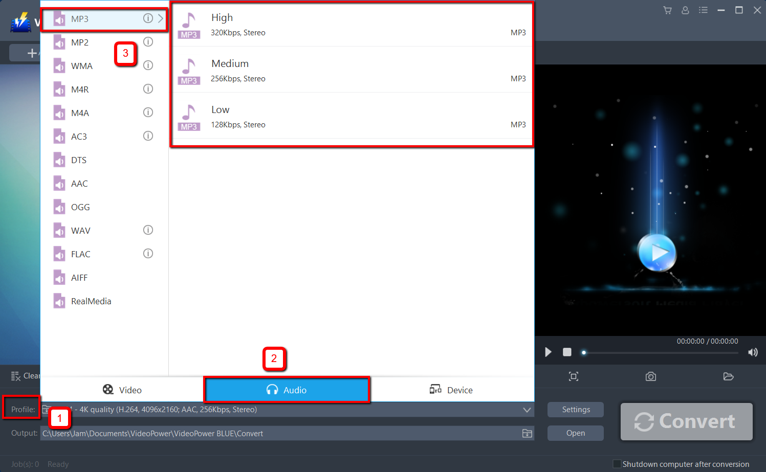 convert 3GA to MP3, VideoPower BLUE select audio format.