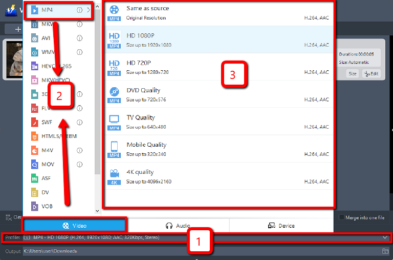 Best Converter Software, VideoPower BLUE, choose output format