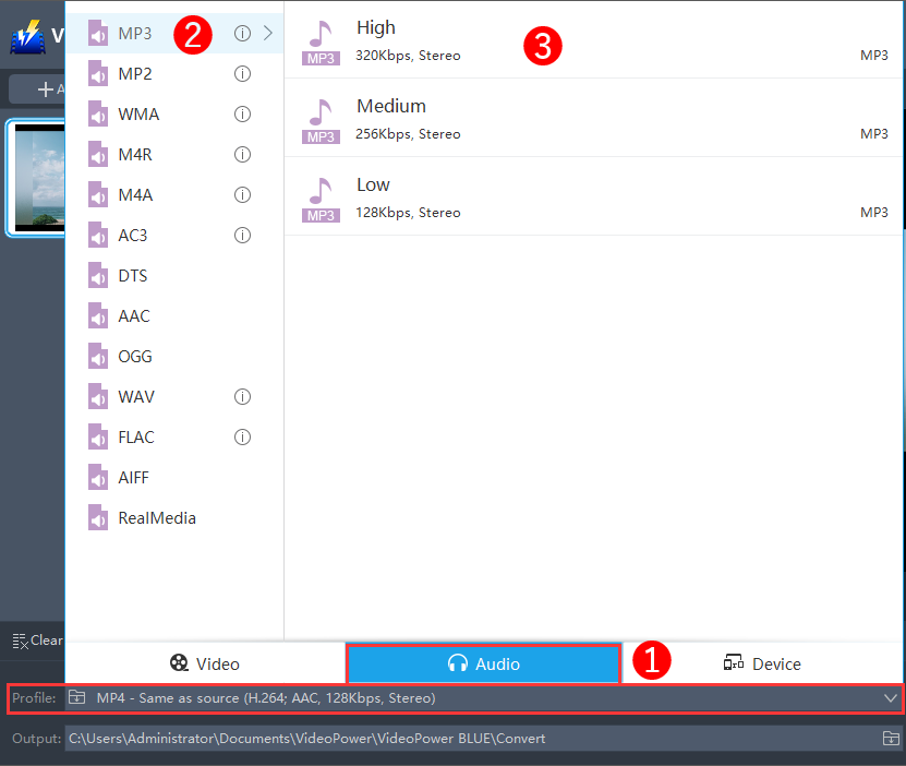 convert MP4 to WMA, VideoPower BLUE, output format