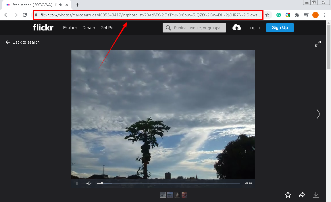 download video, download video flickr online, copy flickr video URL