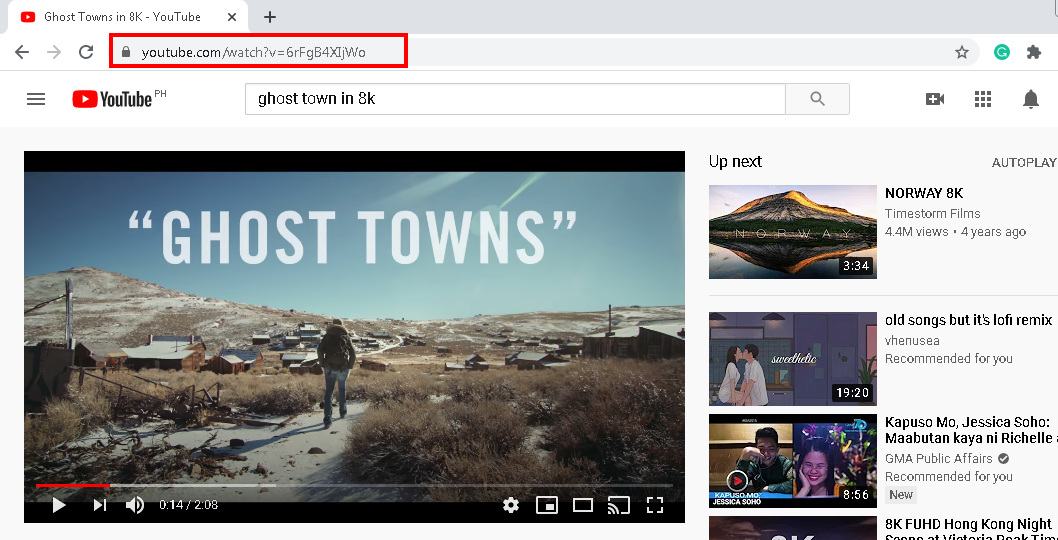 download video, 8k video download, copy ghost town video URL