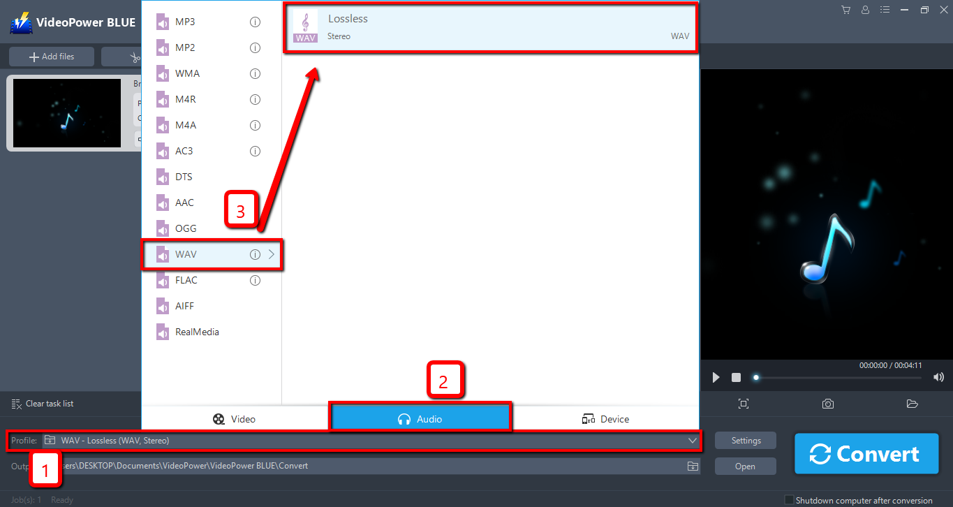 FLAC to WAV converter, VideoPower BLUE, OutPut Format