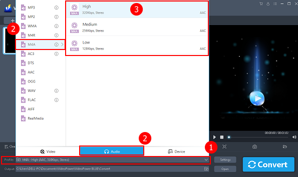 Convert format, audio converter flac to m4a, choose format