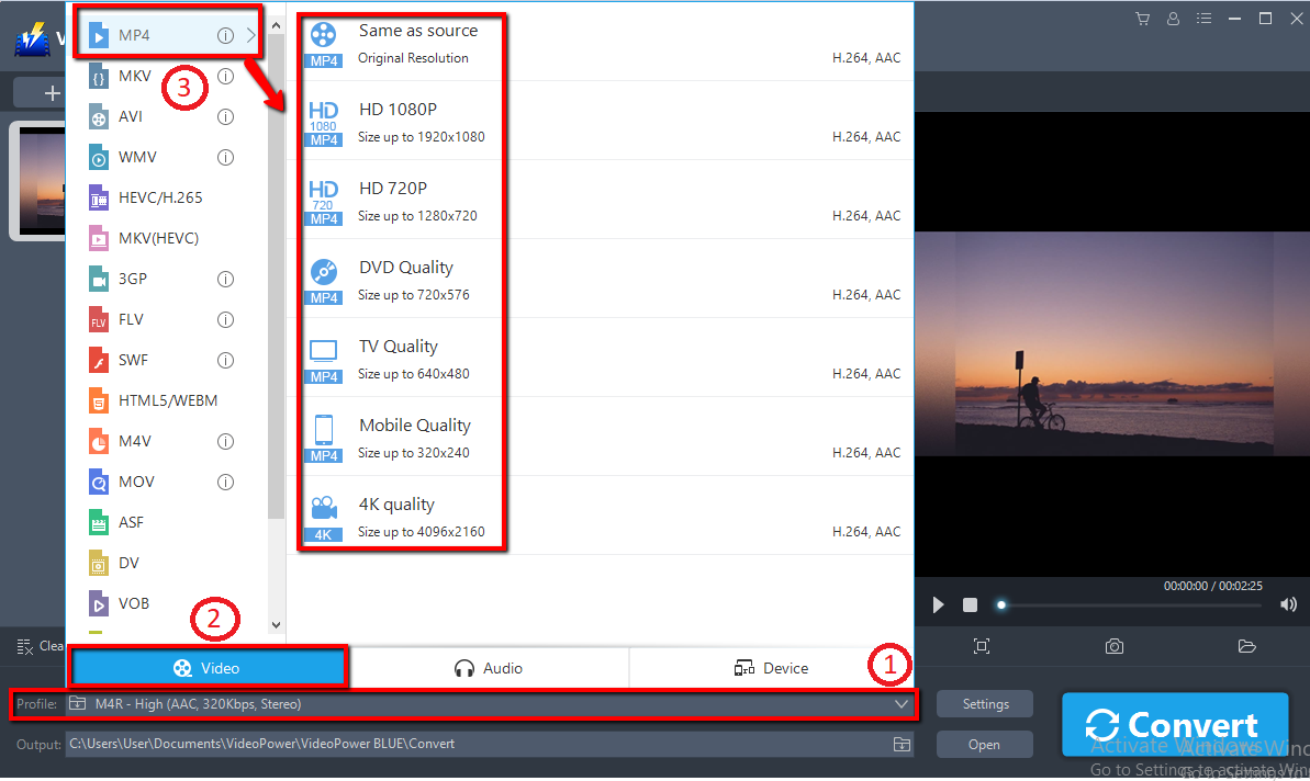 convert Movie Maker to MP4, VideoPower BLUE, OutPut Format