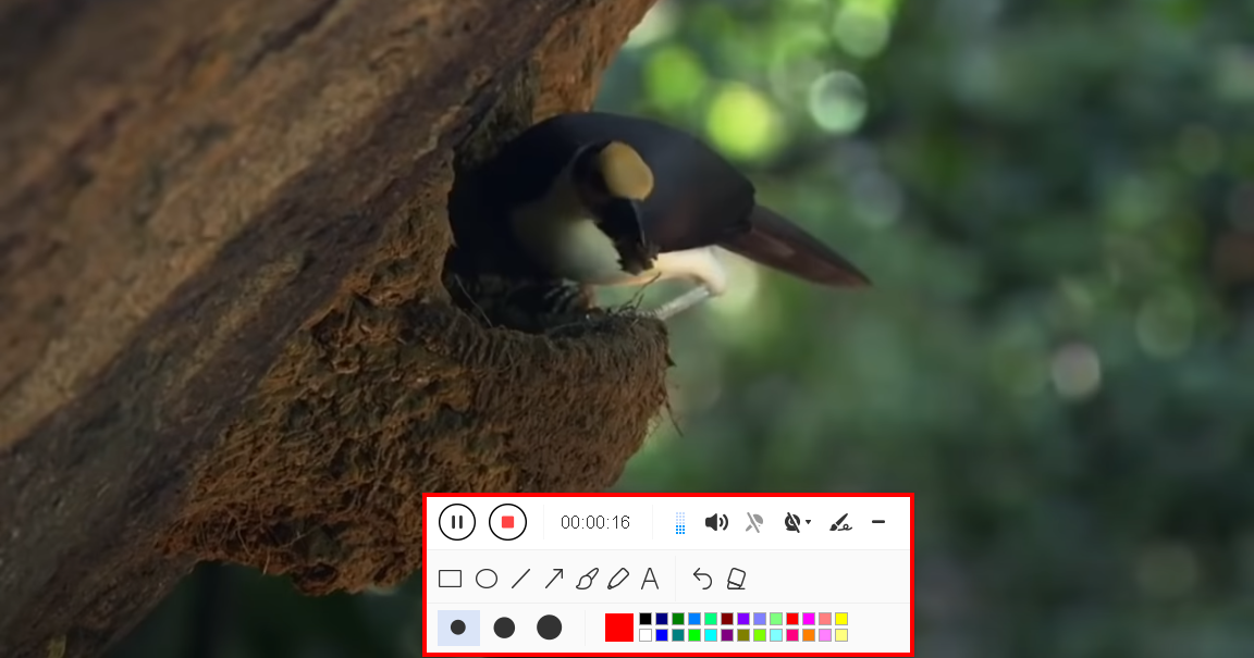 record screen, screen record mouse cursor, start recording your screen