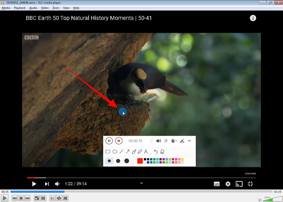 record screen, screen record mouse cursor, preview the video