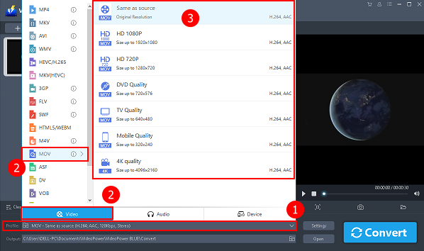 Convert format, software converting swf to mov, choose the output format