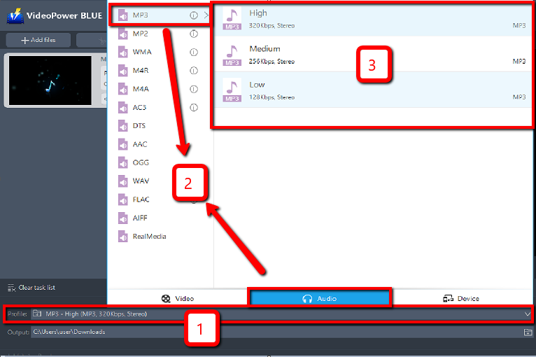 Best Video Converter Software, VideoPower BLUE, output format