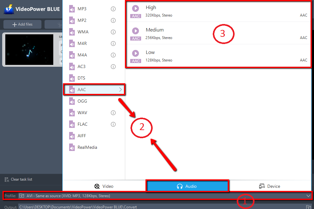 MP3 to AAC Converter, VideoPower BLUE, output format