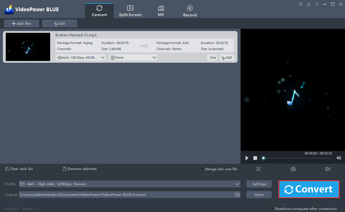 MP3 to AAC Converter, VideoPower BLUE, convert