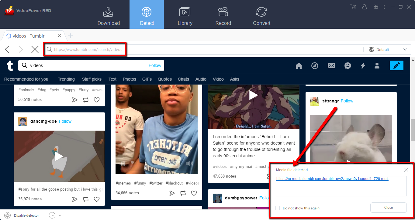 download video, download Tumblr videos app, embedded browser