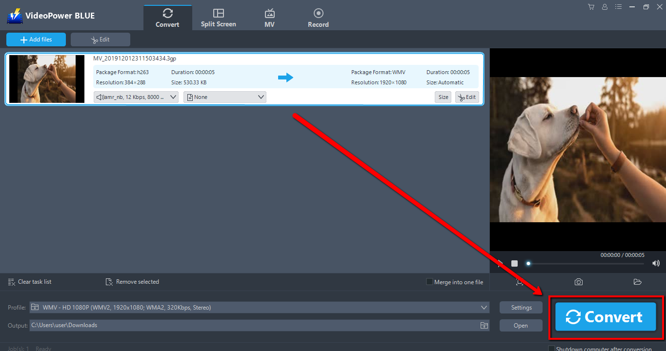 convert video to Windows Media Player, VideoPower BLUE, Convert