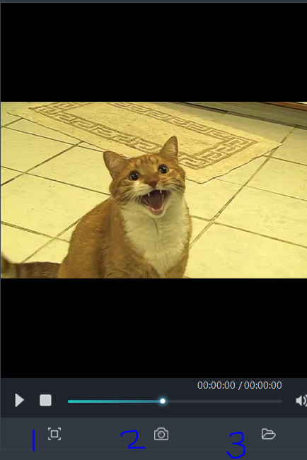 maximize or take screenshot